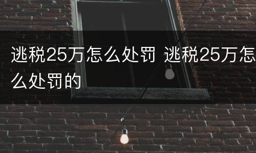 逃税25万怎么处罚 逃税25万怎么处罚的