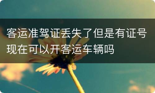 客运准驾证丢失了但是有证号现在可以开客运车辆吗