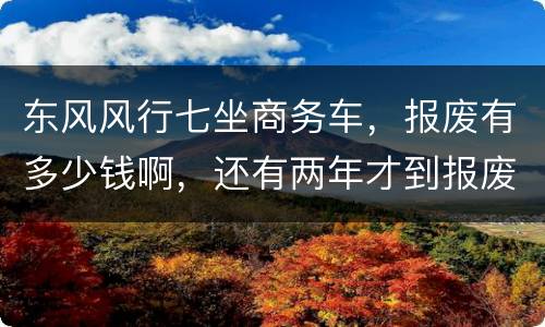 东风风行七坐商务车，报废有多少钱啊，还有两年才到报废期