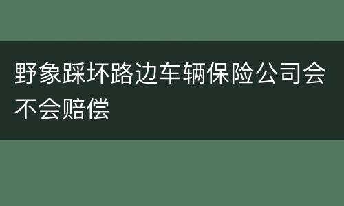 野象踩坏路边车辆保险公司会不会赔偿
