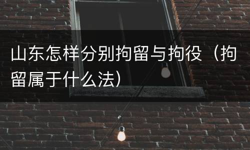 山东怎样分别拘留与拘役（拘留属于什么法）
