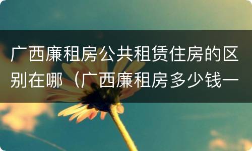 广西廉租房公共租赁住房的区别在哪（广西廉租房多少钱一个月）