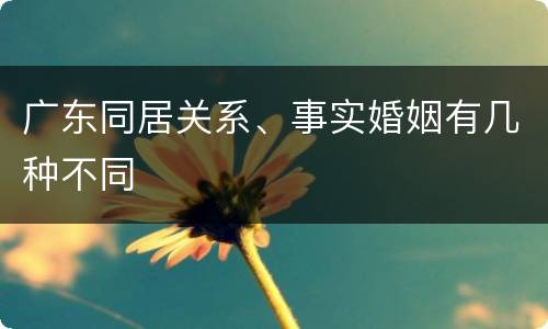 广东同居关系、事实婚姻有几种不同