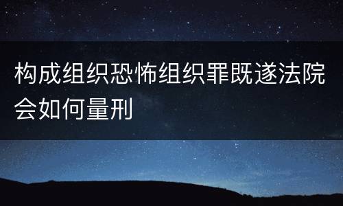 构成组织恐怖组织罪既遂法院会如何量刑