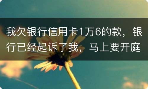 我欠银行信用卡1万6的款，银行已经起诉了我，马上要开庭了，会判刑吗