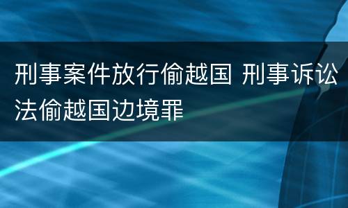 刑事案件放行偷越国 刑事诉讼法偷越国边境罪