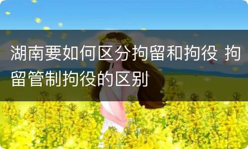 湖南要如何区分拘留和拘役 拘留管制拘役的区别