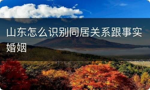 山东怎么识别同居关系跟事实婚姻