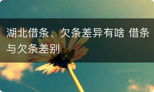 湖北借条、欠条差异有啥 借条与欠条差别