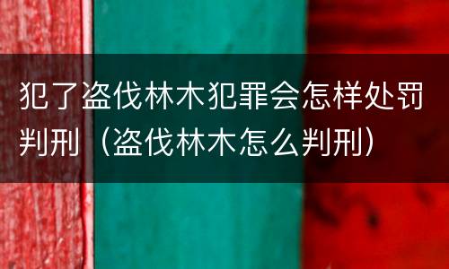 犯了盗伐林木犯罪会怎样处罚判刑（盗伐林木怎么判刑）