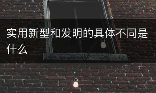 实用新型和发明的具体不同是什么