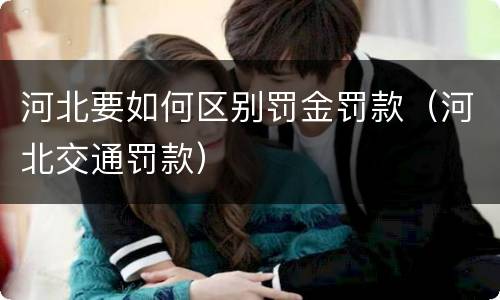 河北要如何区别罚金罚款（河北交通罚款）