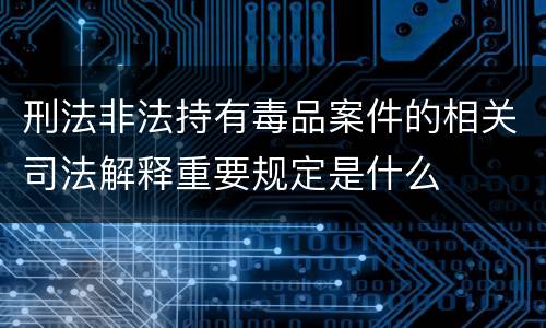 刑法非法持有毒品案件的相关司法解释重要规定是什么
