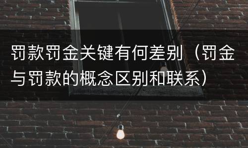 罚款罚金关键有何差别（罚金与罚款的概念区别和联系）