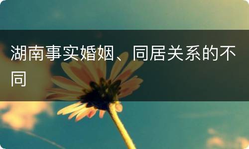 湖南事实婚姻、同居关系的不同