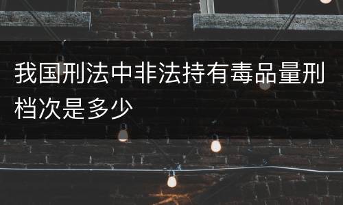 我国刑法中非法持有毒品量刑档次是多少