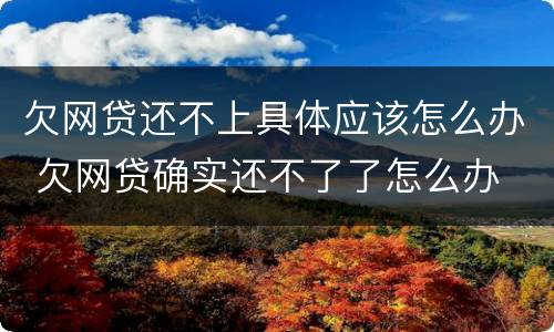 欠网贷还不上具体应该怎么办 欠网贷确实还不了了怎么办