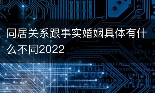 同居关系跟事实婚姻具体有什么不同2022