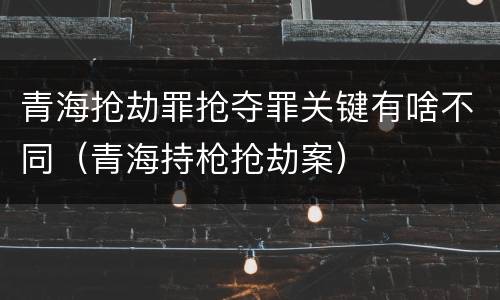 青海抢劫罪抢夺罪关键有啥不同（青海持枪抢劫案）