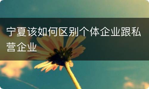 宁夏该如何区别个体企业跟私营企业