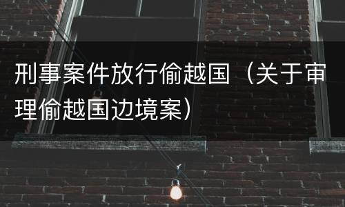 刑事案件放行偷越国（关于审理偷越国边境案）