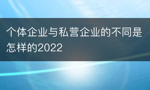 个体企业与私营企业的不同是怎样的2022