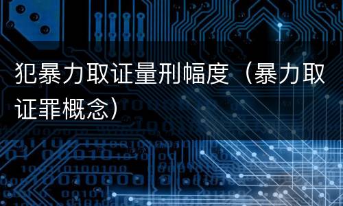 犯暴力取证量刑幅度（暴力取证罪概念）