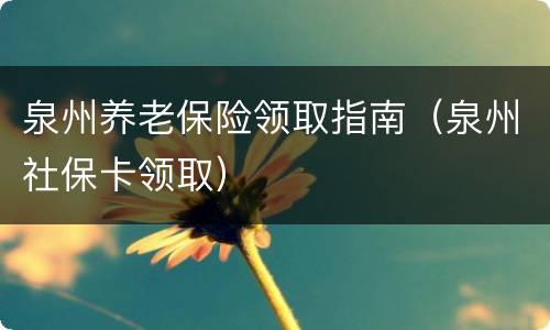 泉州养老保险领取指南（泉州社保卡领取）