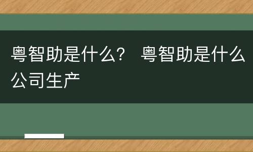 粤智助是什么？ 粤智助是什么公司生产