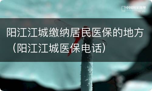 阳江江城缴纳居民医保的地方（阳江江城医保电话）