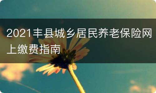 2021丰县城乡居民养老保险网上缴费指南