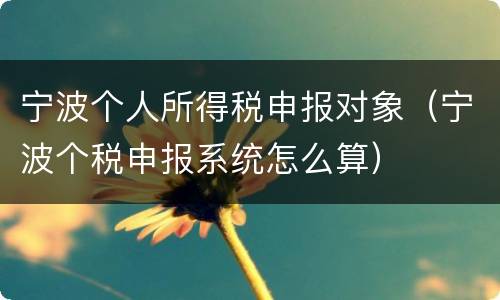 宁波个人所得税申报对象（宁波个税申报系统怎么算）