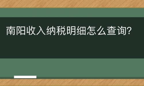 南阳收入纳税明细怎么查询？