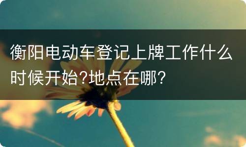 衡阳电动车登记上牌工作什么时候开始?地点在哪?