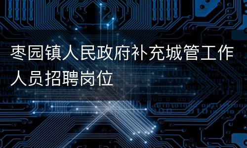 枣园镇人民政府补充城管工作人员招聘岗位