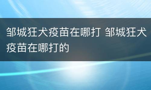 邹城狂犬疫苗在哪打 邹城狂犬疫苗在哪打的
