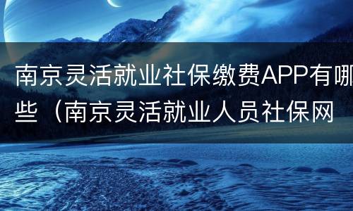 南京灵活就业社保缴费APP有哪些（南京灵活就业人员社保网上缴费）