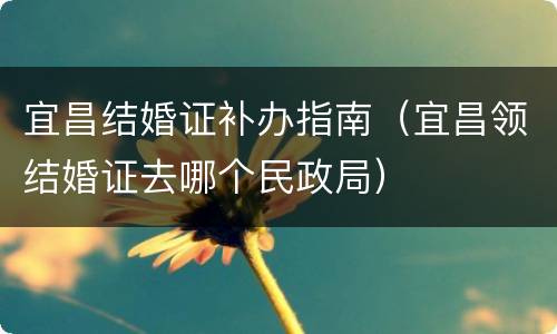 宜昌结婚证补办指南（宜昌领结婚证去哪个民政局）