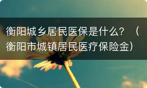 衡阳城乡居民医保是什么？（衡阳市城镇居民医疗保险金）