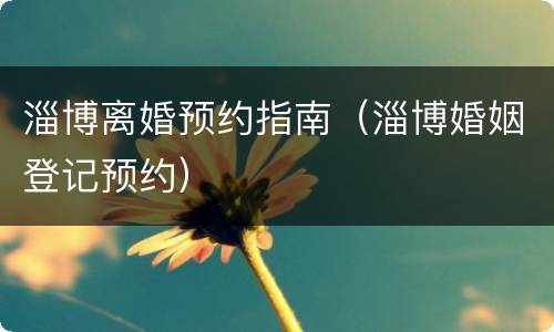 淄博离婚预约指南（淄博婚姻登记预约）