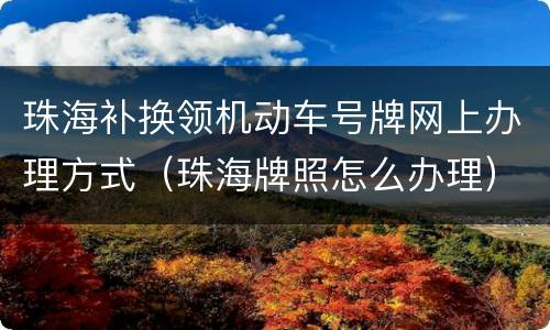 珠海补换领机动车号牌网上办理方式（珠海牌照怎么办理）