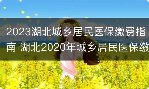 2023湖北城乡居民医保缴费指南 湖北2020年城乡居民医保缴费时间