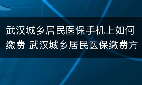 武汉城乡居民医保手机上如何缴费 武汉城乡居民医保缴费方式