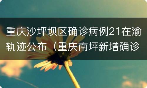 重庆沙坪坝区确诊病例21在渝轨迹公布（重庆南坪新增确诊病例）