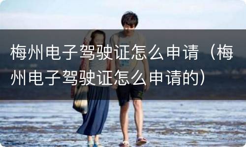 梅州电子驾驶证怎么申请（梅州电子驾驶证怎么申请的）