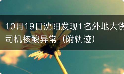 10月19日沈阳发现1名外地大货司机核酸异常（附轨迹）