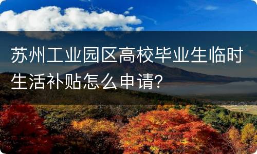 苏州工业园区高校毕业生临时生活补贴怎么申请？