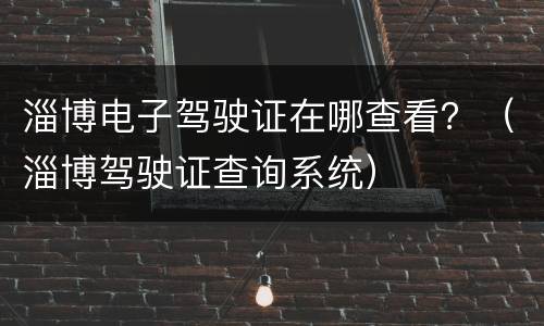 淄博电子驾驶证在哪查看？（淄博驾驶证查询系统）