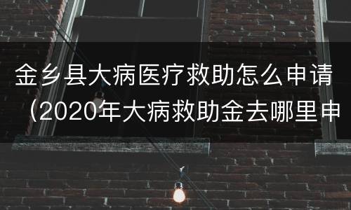 金乡县大病医疗救助怎么申请（2020年大病救助金去哪里申请）