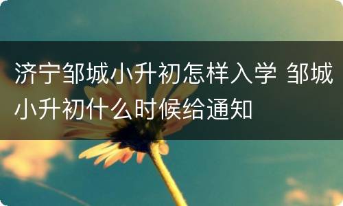 济宁邹城小升初怎样入学 邹城小升初什么时候给通知